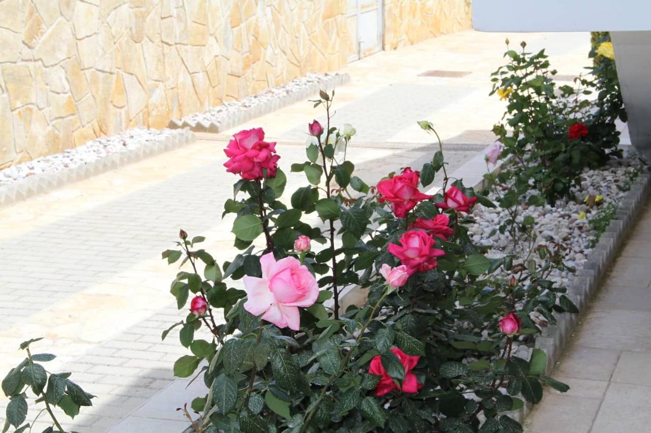 Αριων Village & Suites Nafplion Exteriör bild